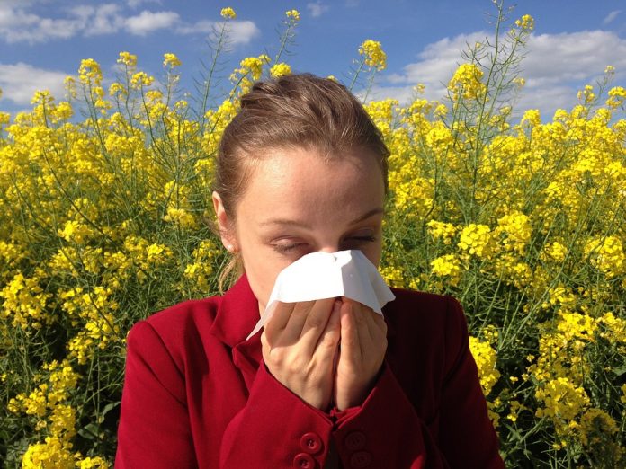 Alerta por nuevos alérgenos debido a una elevada concentración de polen