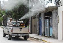 Ya viene la Primera Jornada Nacional de Lucha contra dengue, zika y chikungunya