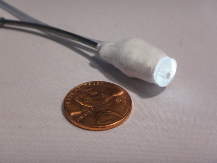 Científicos logran insertar una diminuta sonda robot en el corazón de un cerdo