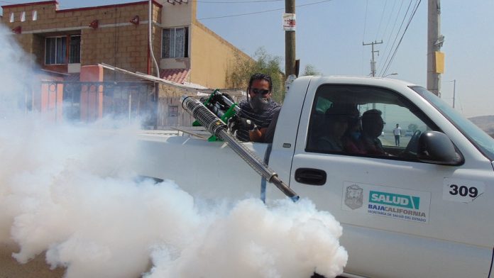 México cuenta con el insecticida suficiente para controlar mosquito trasmisor de dengue, zika y chikungunya