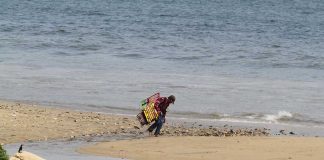 La Cofepris alerta por contaminación en playas de Acapulco