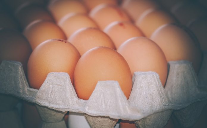 Descubre toda la verdad sobre comer huevo