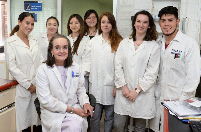 La UNAM atrae a jóvenes europeos para hacer estancias de posgrado en odontología