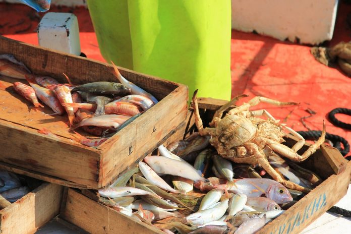 Los microplásticos en pescados y mariscos, ¿una realidad en nuestra cadena alimentaria?