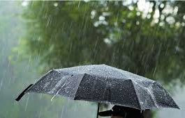 Investigadora de la UNAM señala que la lluvia ácida no nos causa un daño directo