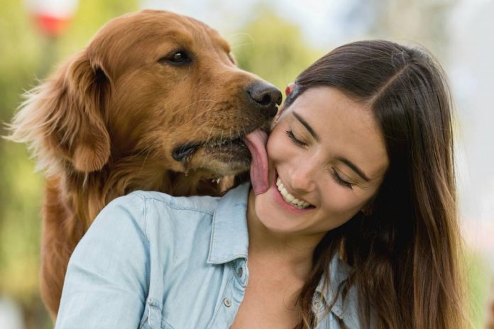 ¡Cuidado con los besos de las mascotas! Podrían transmitir serias patologías