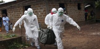 Todo lo que debes saber sobre el virus del ébola
