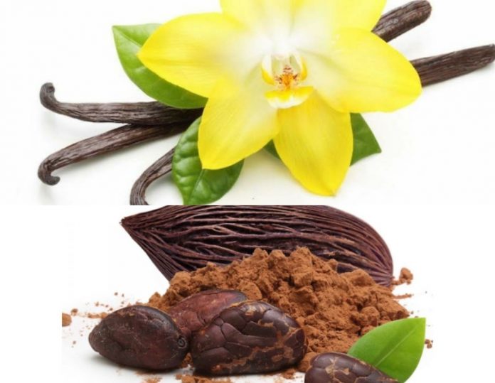 La vainilla y el cacao, de México para el mundo entero