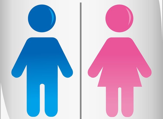Conoce la diferencia entre sexo biológico y género