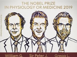 "Respiración celular" se lleva el Nobel de Medicina