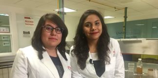 Estudiantes de la UVM buscan desarrollar antibióticos a partir del maíz nixtamalizado