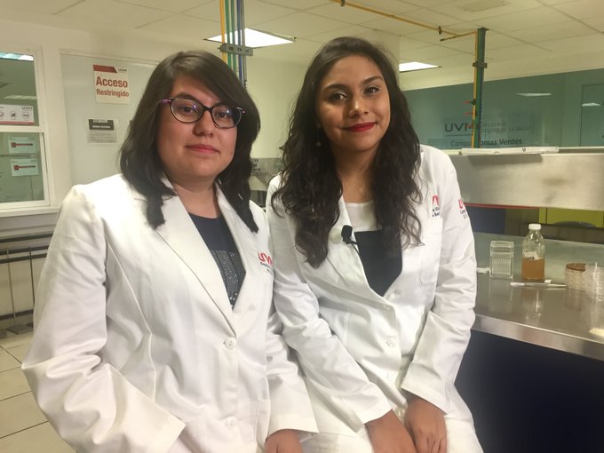 Estudiantes de la UVM buscan desarrollar antibióticos a partir del maíz nixtamalizado
