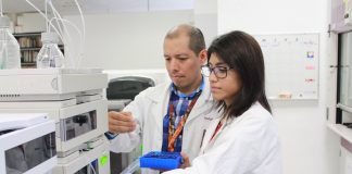 Científicos del IPN estudian los efectos del orégano mexicano contra hongos y bacterias