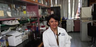 Facultad de Química de la UNAM puede hacer pruebas diagnóstico de coronavirus