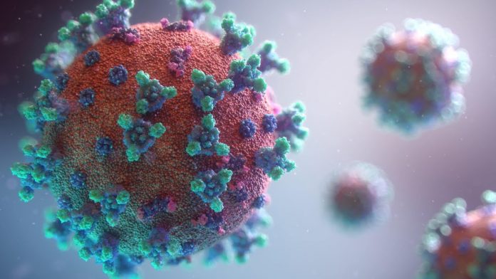 Secuencia genética demuestra origen natural del coronvirus, señala la OMS