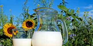 Falso que la ingesta de leche ayude a prevenir la pérdida ósea durante la menopausia