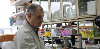 Investigadores de la UNAM trabajan en vacuna y tratamiento para COVID-19