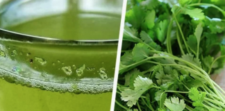 Agua de cilantro en ayuno, aliada para acelerar el metabolismo