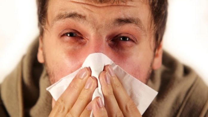 Día Mundial de las Alergias, éstas son las más comunes