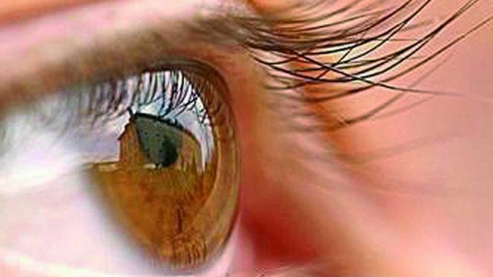 Células madre del ojo, podrían preservar la visión