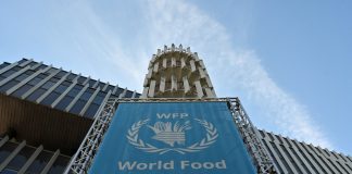 El Programa Mundial de Alimentos de la ONU gana el Premio Nobel de la Paz 2020