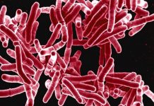 Descubre medicamentos contra tuberculosis, con aprendizaje automático