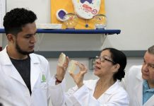 Especialistas del IPN detectan bacterias difíciles de combatir en los hospitales