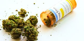 La Secretaría de Salud elabora reglamento para uso medicinal de cannabis
