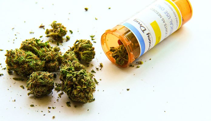 La Secretaría de Salud elabora reglamento para uso medicinal de cannabis