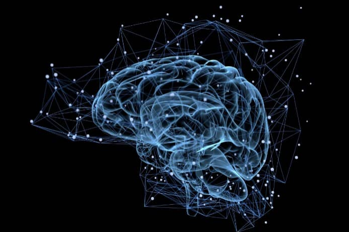 “El cerebro contiene más neuronas que las estrellas en la galaxia”, dice neurólogo
