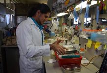 Investigadores de la UNAM desarrollan antiinflamatorio de origen vegetal