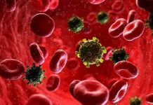 Descubren que células humanas disponen de una alarma contra el VIH