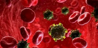 Descubren que células humanas disponen de una alarma contra el VIH