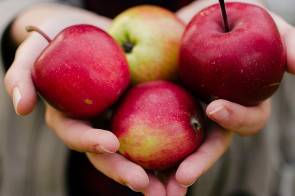 Comer manzanas podría hacerte más listo, según un estudio