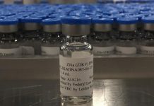 Posible vacuna contra el zika consigue resultados favorables en pruebas