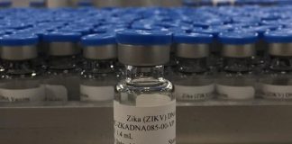 Posible vacuna contra el zika consigue resultados favorables en pruebas