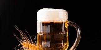 La cerveza protege de padecer Alzheimer, encuentra estudio