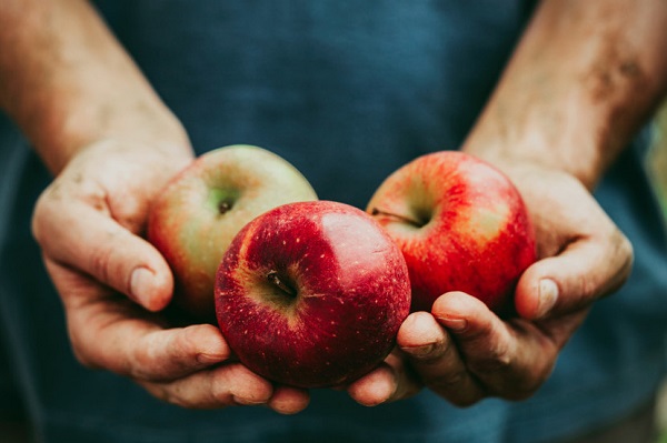 Comer una manzana al día puede prevenir la diabetes, según estudio
