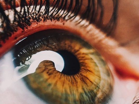 Mexicanos crean inteligencia artificial para detectar retinopatía diabética