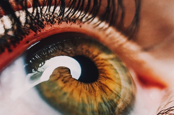 Mexicanos crean inteligencia artificial para detectar retinopatía diabética