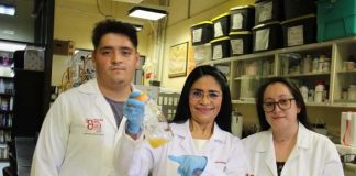 Científicos del IPN encuentran probiótico anticancerígeno en el pulque