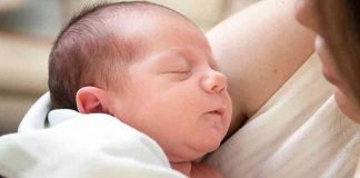 Los bebés humanos tiene una “estufa interior”