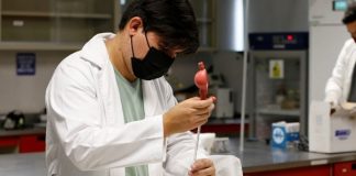 Científicos mexicanos encapsulan vitamina A en nanopartículas para uso oftálmico