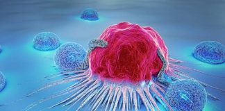 Encuentran proteína que permite dividir todos los tipos de cáncer en dos grupos