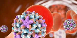No vacunarse contra hepatitis B puede derivar en cáncer