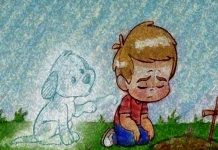 Los problemas que ocasionan en un niño de la pérdida de una mascota
