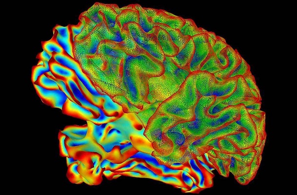 Alzheimer está vinculado al ritmo que regula nuestro ciclo de sueño, según estudio