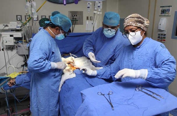 Esperan un trasplante de órganos casi 23 mil mexicanos