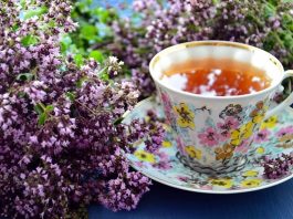 Beneficios y efecto del té de orégano