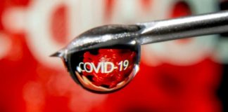 Estudio reitera que ivermectina no es eficiente contra Covid-19